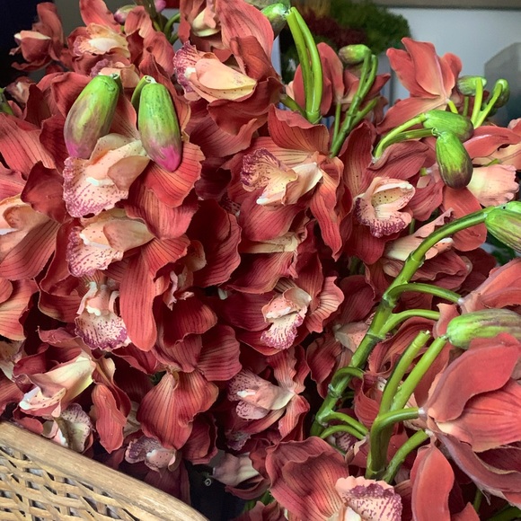 40” Cymbidium Orchid Stem Dusty Orange Silk Artificial Faux Flower - Picture 6 of 6